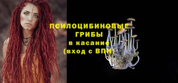 ГАЛЛЮЦИНОГЕННЫЕ ГРИБЫ Алзамай