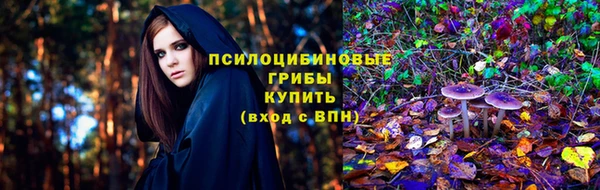 твердый Абинск