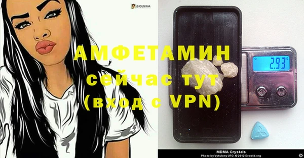 ГАЛЛЮЦИНОГЕННЫЕ ГРИБЫ Алзамай