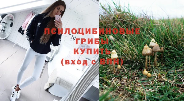 твердый Абинск